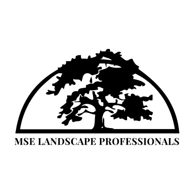 MSE 400 X 400